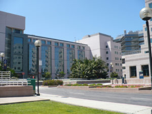 ucla medical school